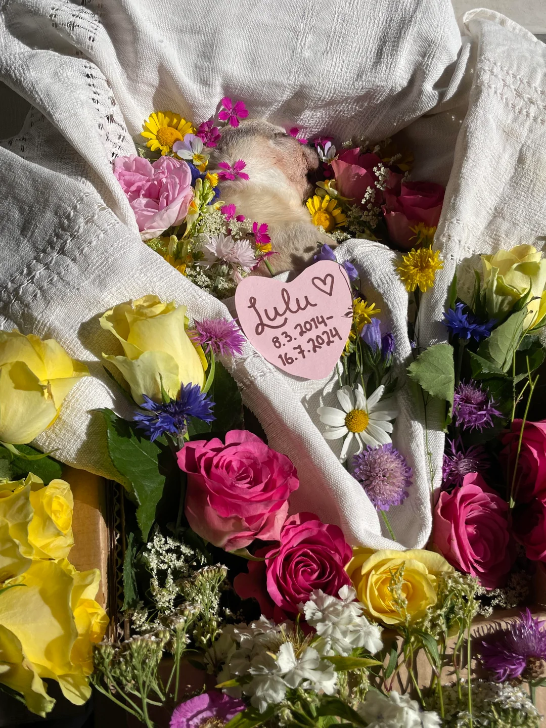In loving memory
